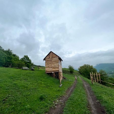 Alereks Mountain Camping Dsegh Luaran gambar