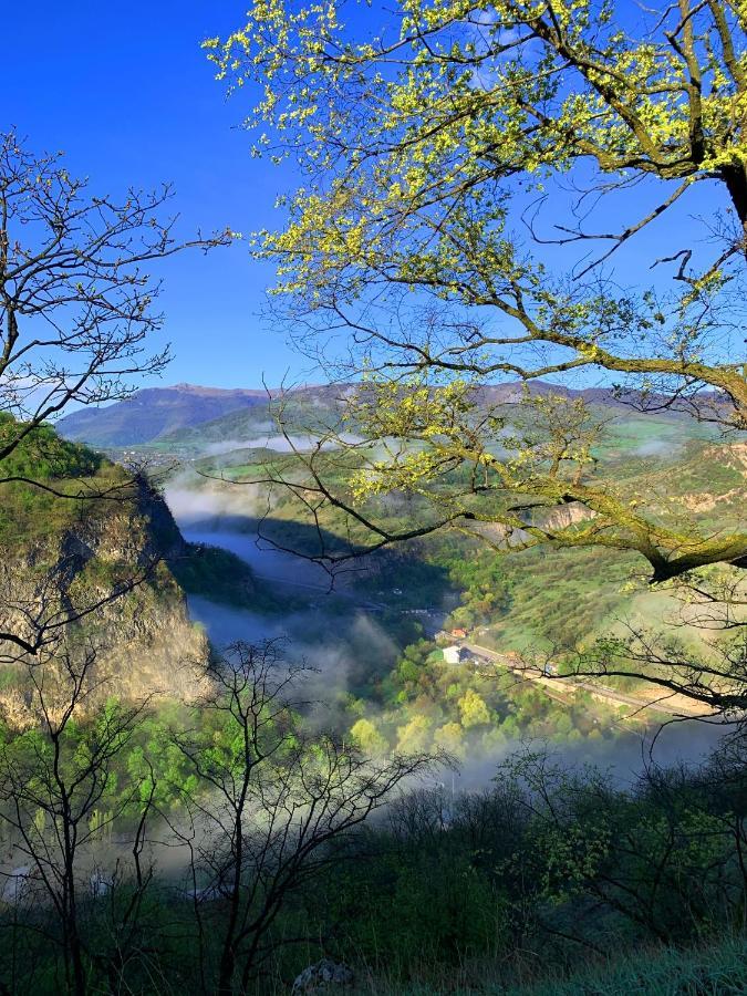 Alereks Mountain Camping Dsegh Luaran gambar