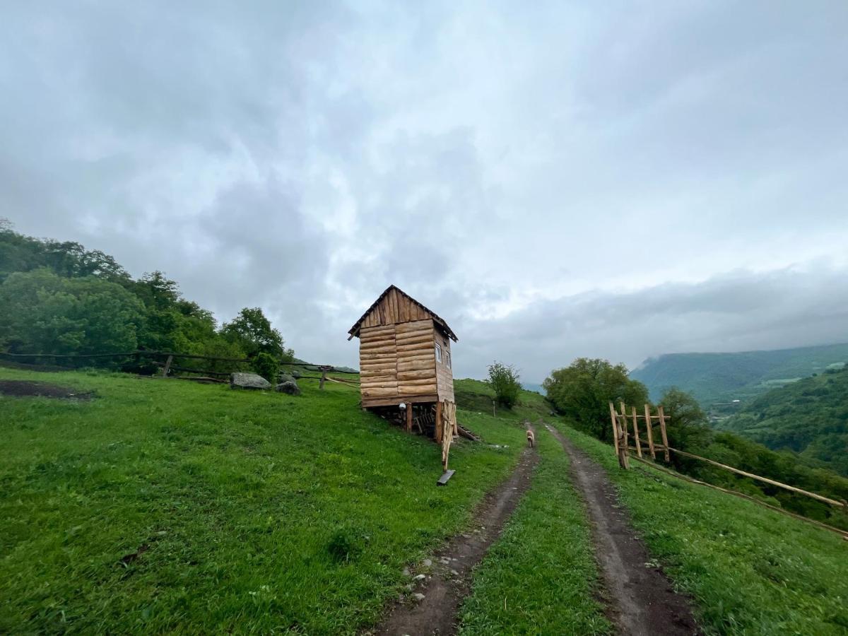 Alereks Mountain Camping Dsegh Luaran gambar